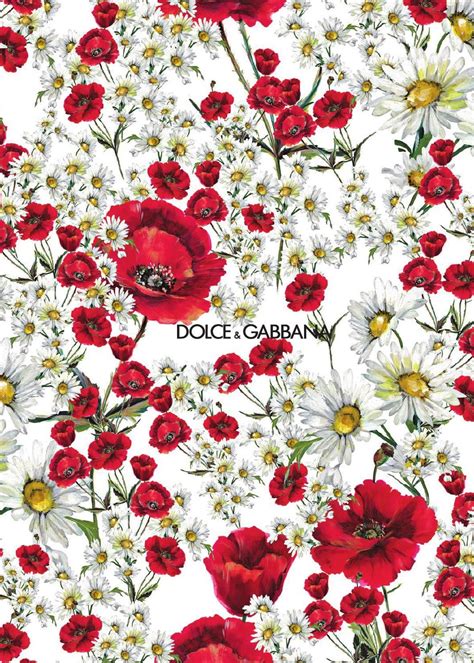 dolce gabbana floral print top|dolce and gabbana art print.